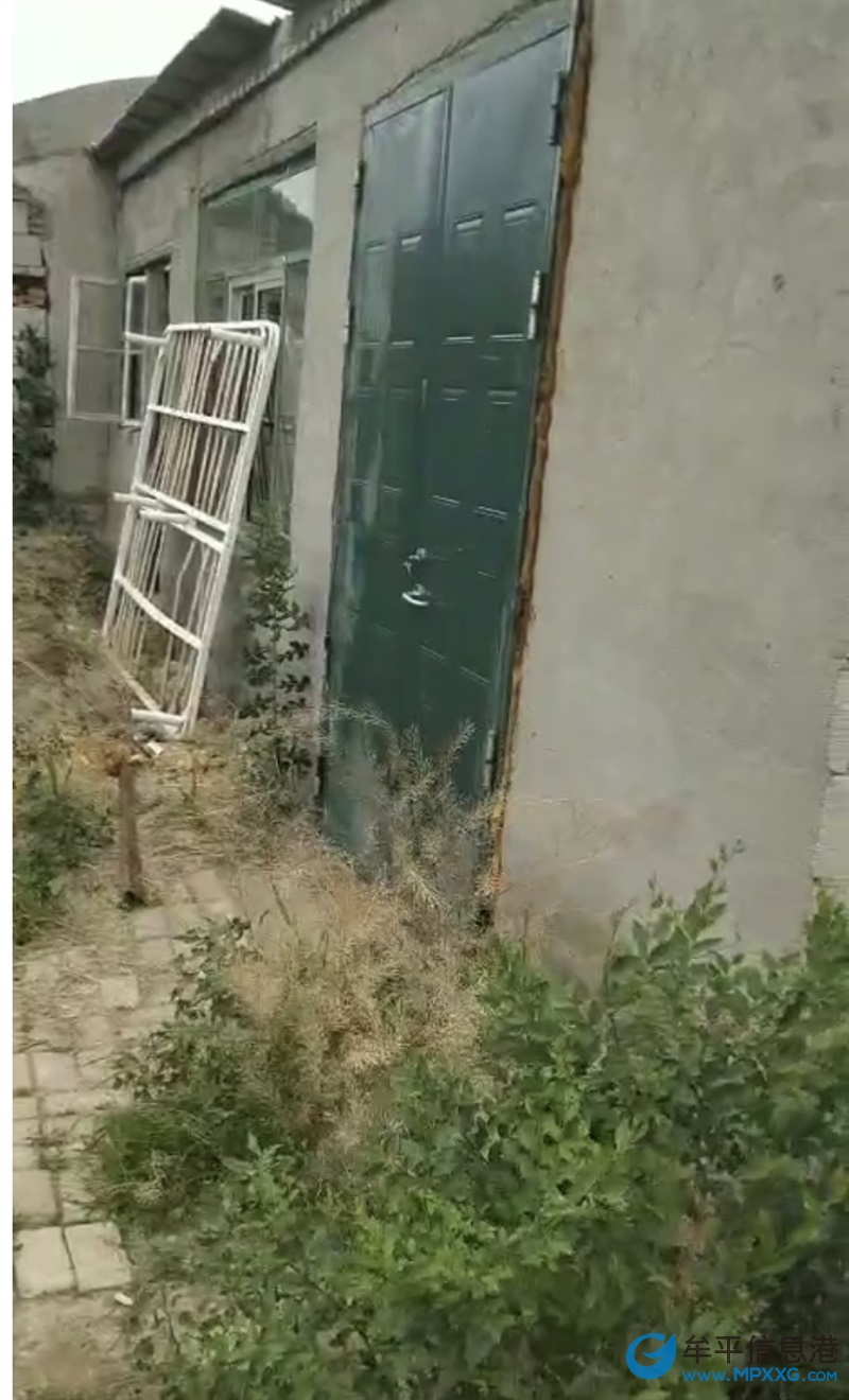 牟平場地出租