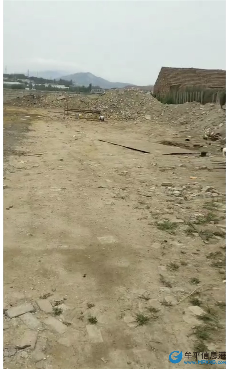 牟平場地出租