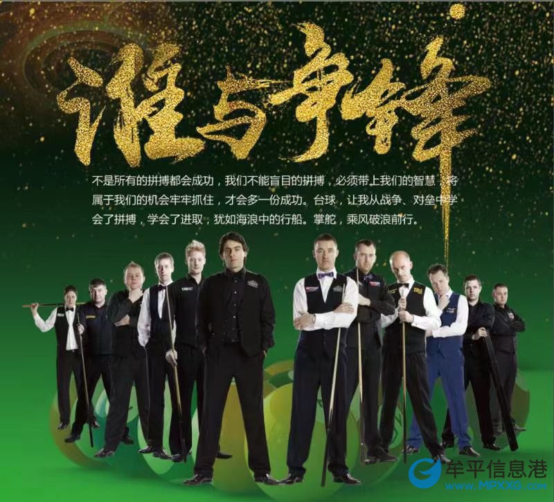 臺球助教服務員