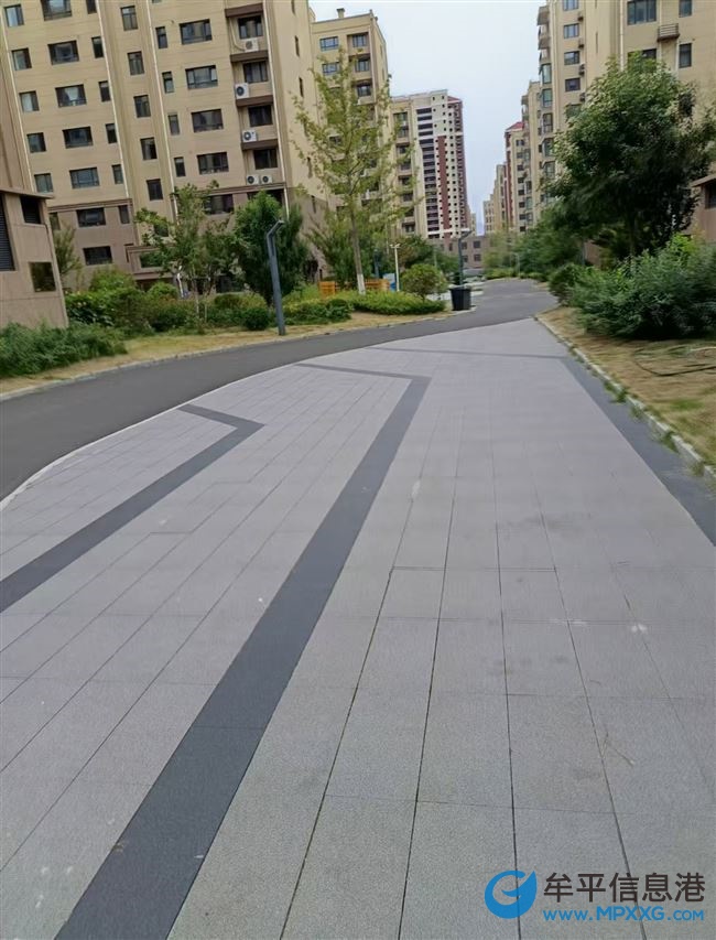岀售豐金和悅城二期