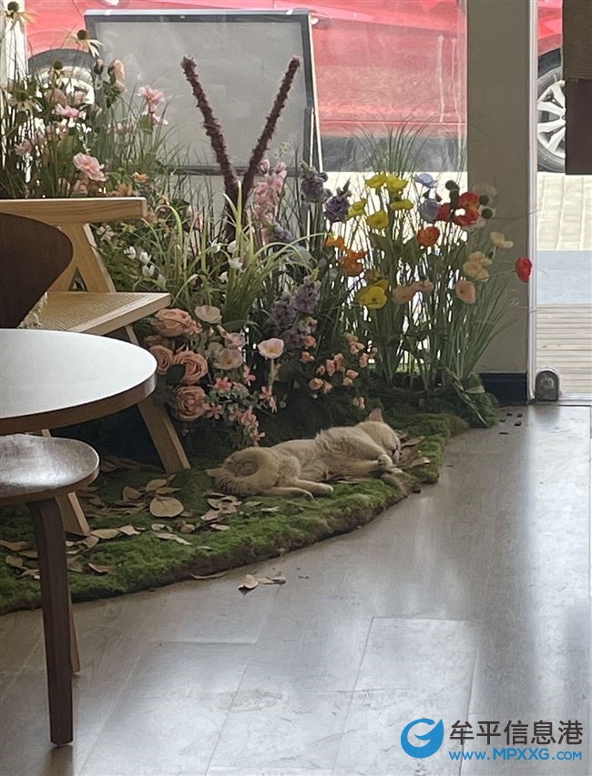 營業中的奶茶酒吧店轉讓
