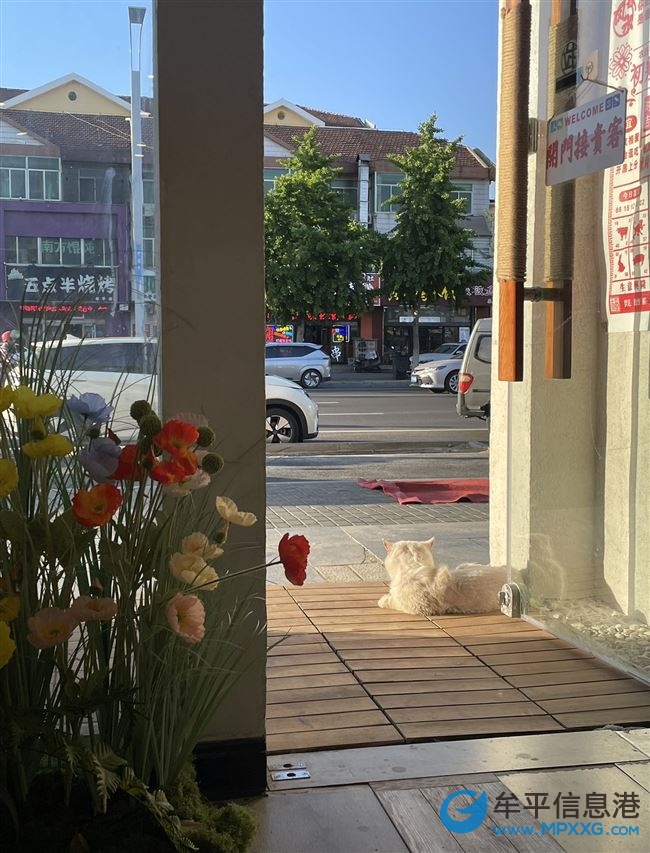 營業中的奶茶酒吧店轉讓