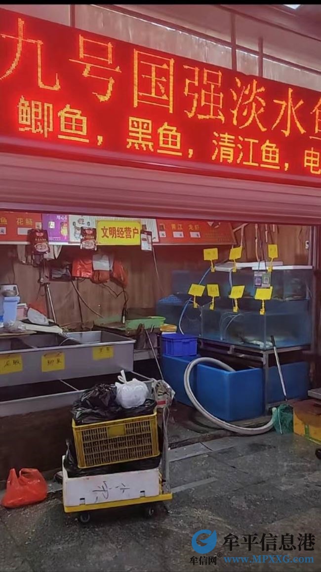 急招殺魚男工